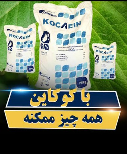 بهترین کود برای تبدیل ب نیوه و درشتی و استحکام جداریه فلفل