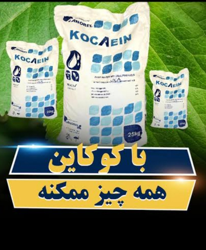 بهترین کود برای تبدیل ب نیوه و درشتی و استحکام جداریه فلفل